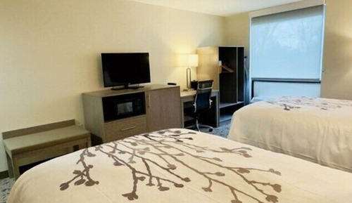 Standard Room, 2 Double Beds, Non Smoking