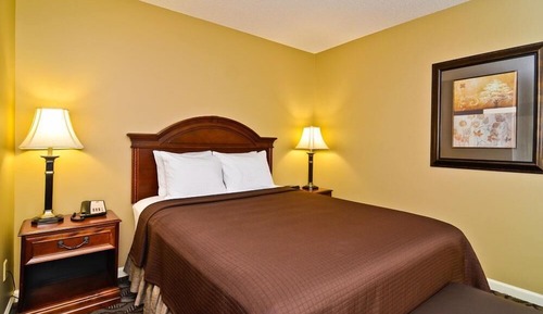 Room, 1 Queen Bed