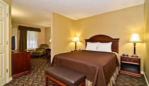Room, 1 King Bed