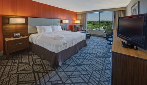 Room, 1 King Bed, Accessible