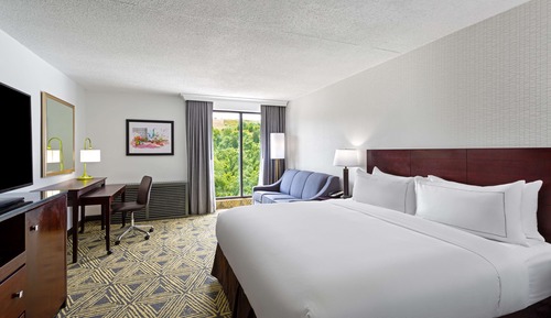 Room, 1 King Bed, Non Smoking