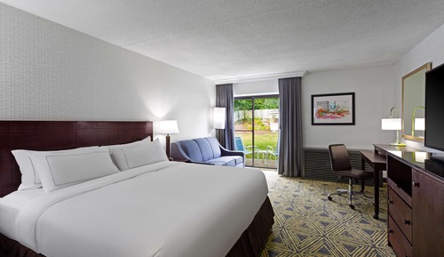 Room, 1 King Bed, Non Smoking, Patio