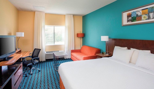 Room, 1 King Bed with Sofa bed