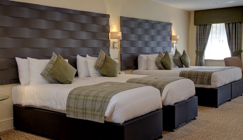 Executive Room, Multiple Beds, Non Smoking