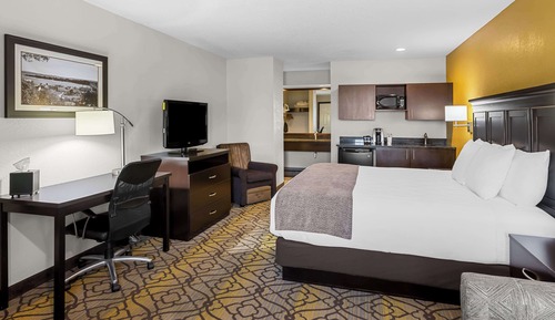 Standard Room, 1 King Bed, Non Smoking, Refrigerator