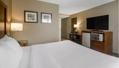 Standard Room, 1 King Bed, Non Smoking
