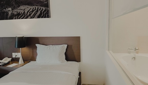 Basement Deluxe Twin Room