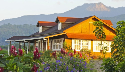 Luxury Suite, Mountain View