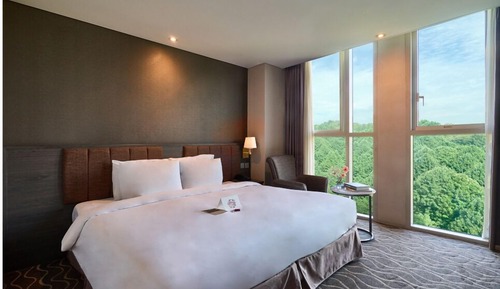 Hollywood Double with Forest View