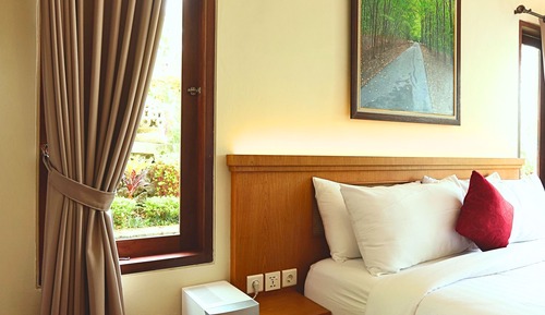 Junior Studio Suite, 1 King Bed, Mountain View