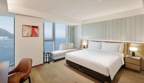 Premium Room, 1 King Bed, Mobility Accessible, Non Smoking