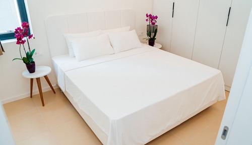 Business Apartment, 1 Bedroom