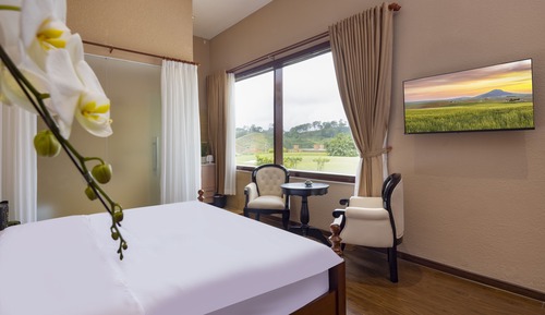 Deluxe Double Room, 1 King Bed, Mountain View