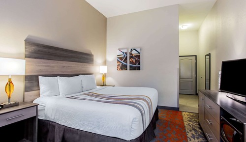 Room, 1 King Bed, Non Smoking