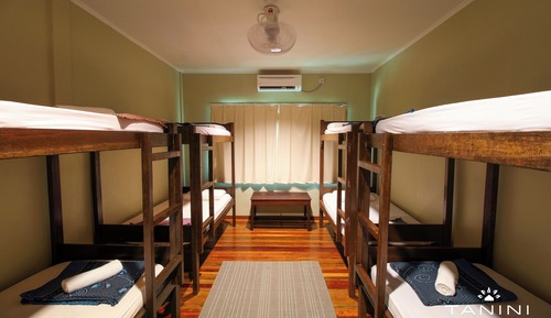 Bunk Bed in Male Dormitory Room