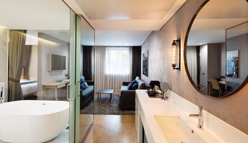 Corner Suite with sofa bed, Air purifier in room