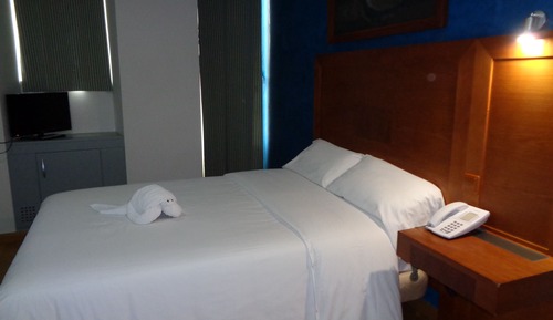 Double Room Single Use