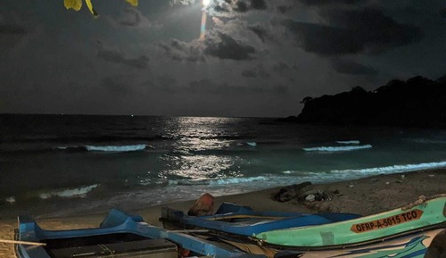 Standard Quadruple Room, 2 Double Beds, Refrigerator