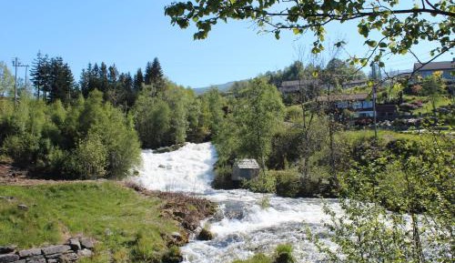 Single Room with Sea View