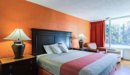 King Room - Non-Smoking