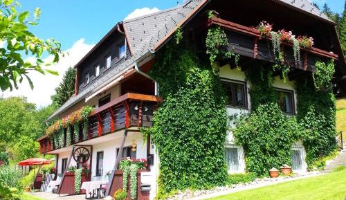 Apartment with Mountain View
