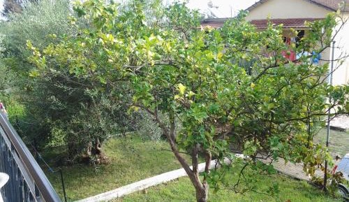 Two-Bedroom Family Apartment