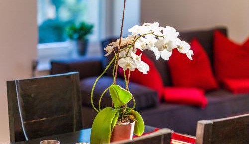 Apartment with Terrace Top 7