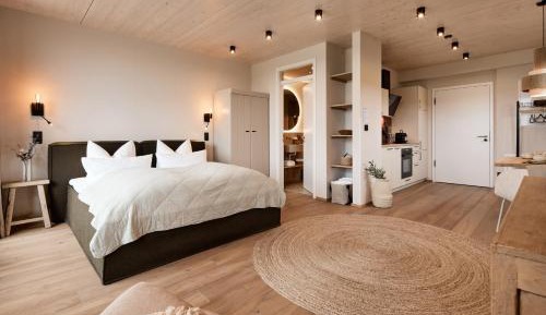 Deluxe One-Bedroom Apartment with City View