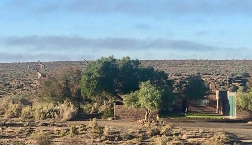 Standard Holiday Home