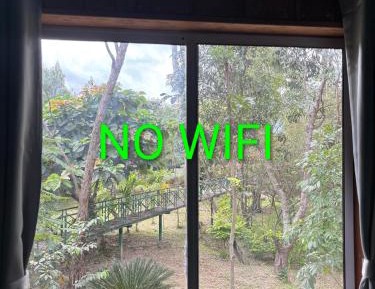 Family Room with Lake View