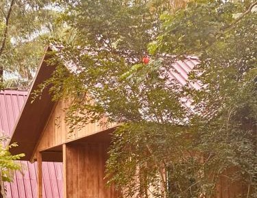 Family Room with Lake View