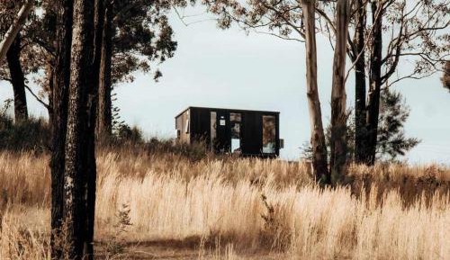 Mobile Home