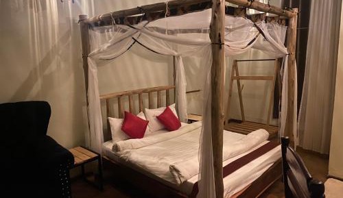 Single Room with Garden View