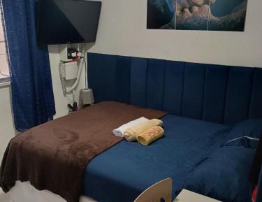 One-Bedroom Family Apartment