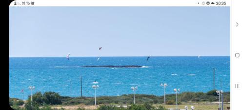 Four-Bedroom Apartment with Balcony 
