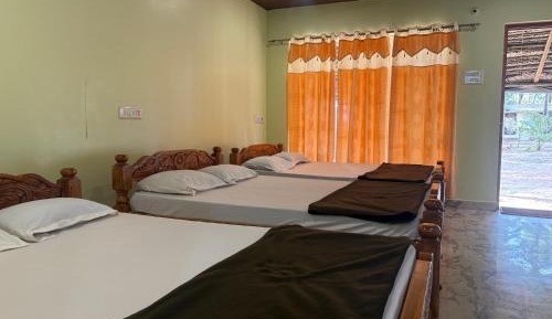 6-Bed Mixed Dormitory Room