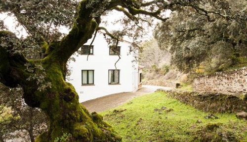 Apartment with Mountain View - ground floor	