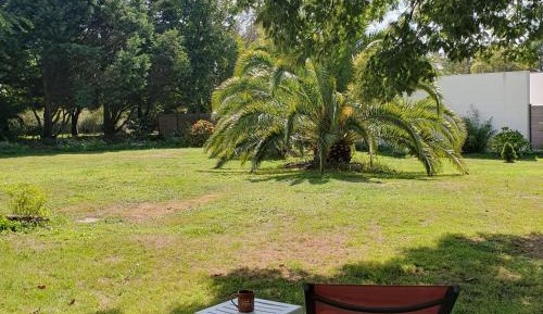 Studio with Garden View