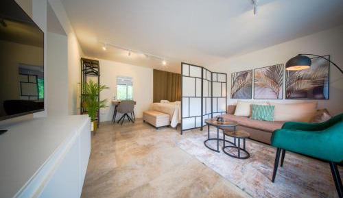 One-Bedroom Apartment with Terrace