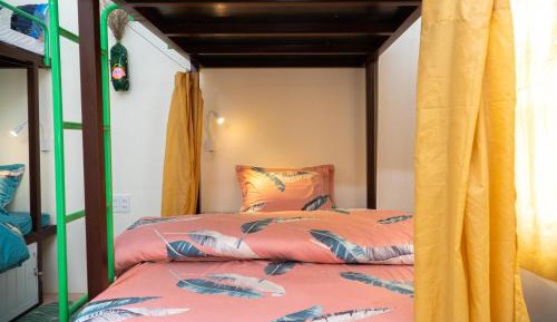 6-Bed Mixed Dormitory Room