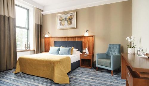 Superior Deluxe Double or Twin Room 