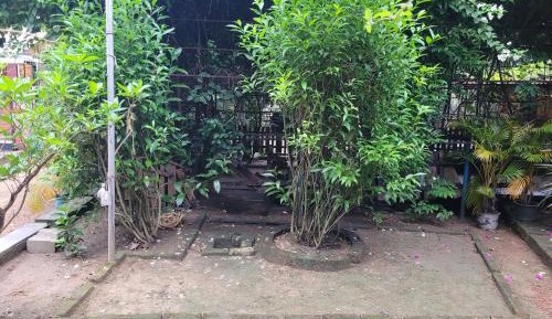 Family Room with Garden View