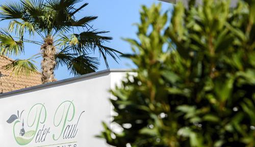 Superior Apartment with Balcony