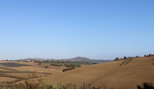 Double Room with Pool View