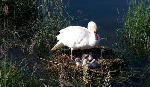 Superior One-Bedroom Apartment