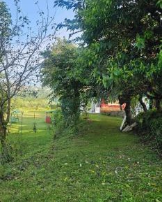 Triple Room with Garden View