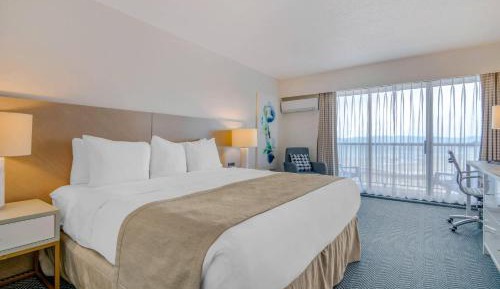 Executive King Room - Non-Smoking