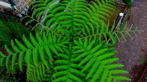 Superior Family Room