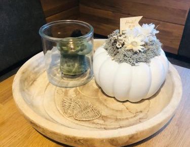 Apartment with Mountain View