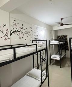Bed in 6-Bed Dormitory Room